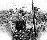 Korean children begging through the Concertina wire perimeter